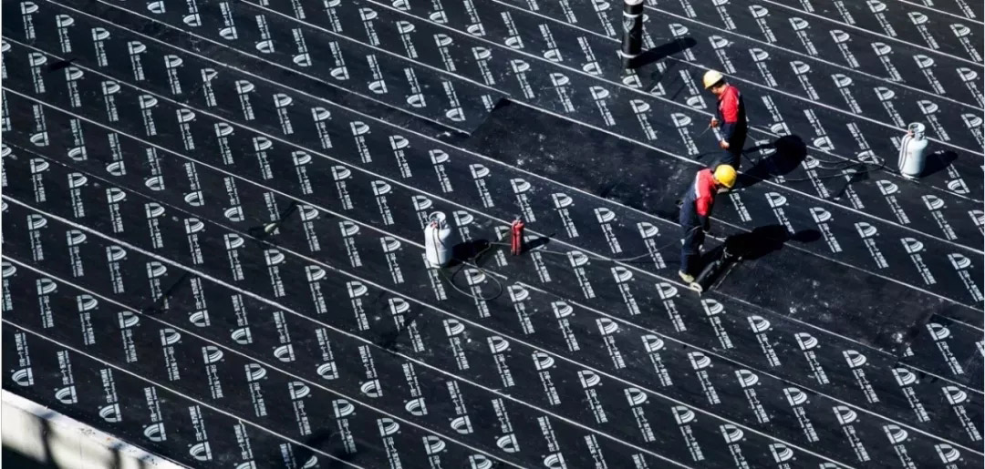 首页-HG视讯厅真人官方网站