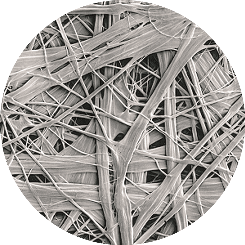 首页-HG视讯厅真人官方网站