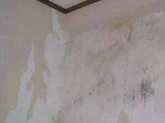 首页-HG视讯厅真人官方网站