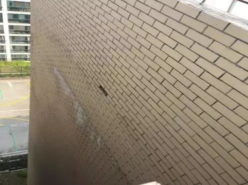 首页-HG视讯厅真人官方网站