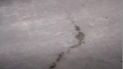 首页-HG视讯厅真人官方网站