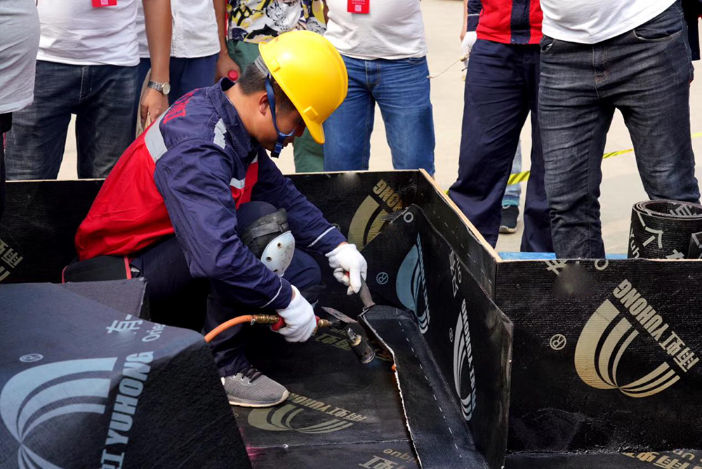 首页-HG视讯厅真人官方网站