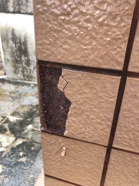 首页-HG视讯厅真人官方网站