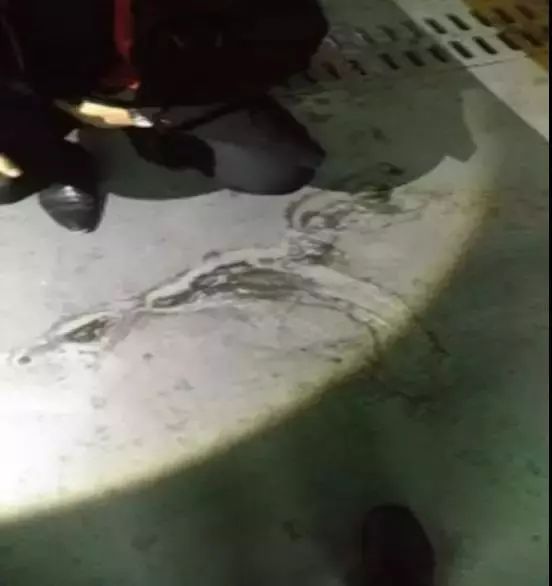 首页-HG视讯厅真人官方网站