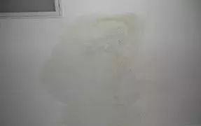 首页-HG视讯厅真人官方网站