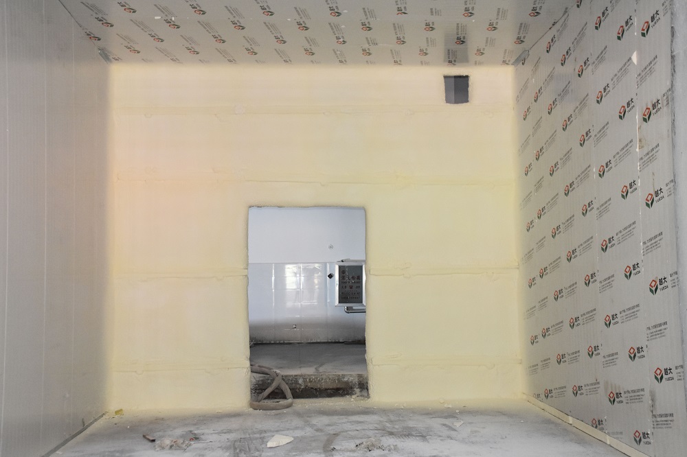 首页-HG视讯厅真人官方网站