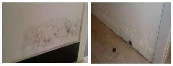 首页-HG视讯厅真人官方网站