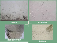 首页-HG视讯厅真人官方网站