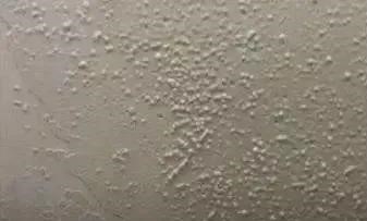 首页-HG视讯厅真人官方网站