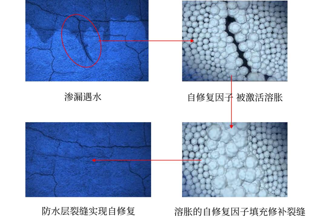 首页-HG视讯厅真人官方网站